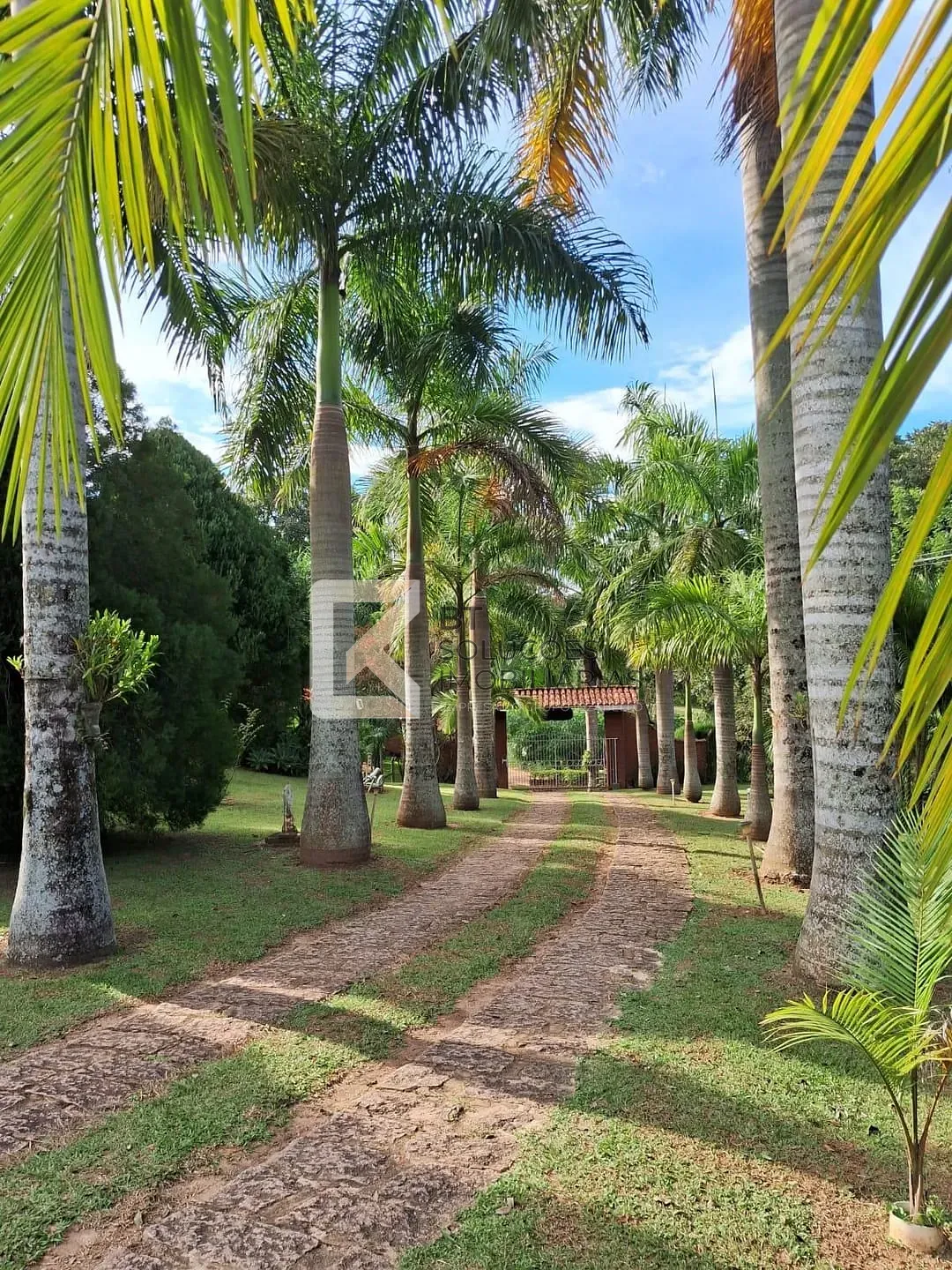 Chácara, 3 quartos, 8000 m² - Foto 26