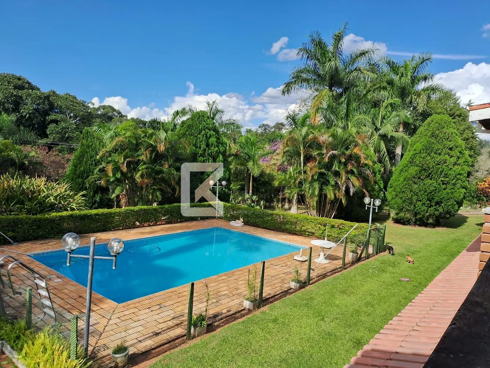 Chácara, 3 quartos, 8000 m² - Foto 18