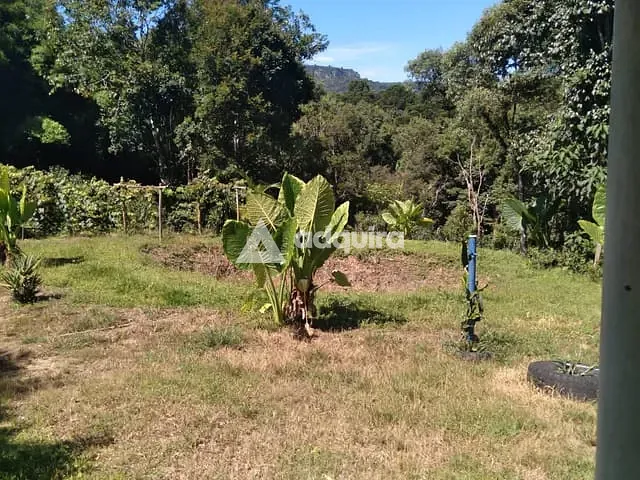 Chácara com 10000m² 3 quartos e 2 banheiros, à venda, no bairro Mato Queimado em Itaiacoca (Ponta Grossa)
