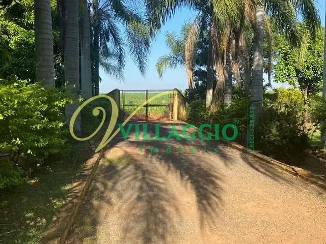 Chácara com 23500m², à venda, no bairro Zona Rural em Bady Bassitt