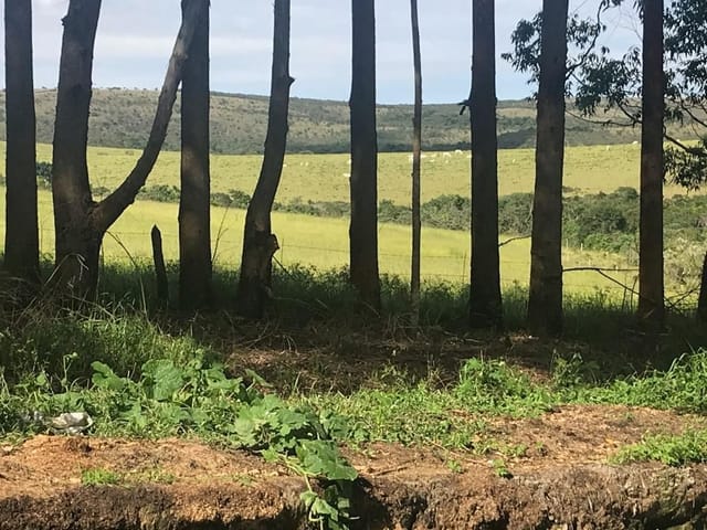 Chácara com 6000000m², à venda, no bairro Cruzília Mg  em Cruzília