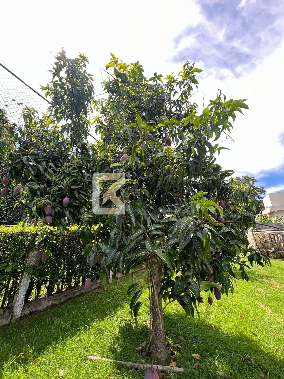 Chácara, 3 quartos, 2500 m² - Foto 57