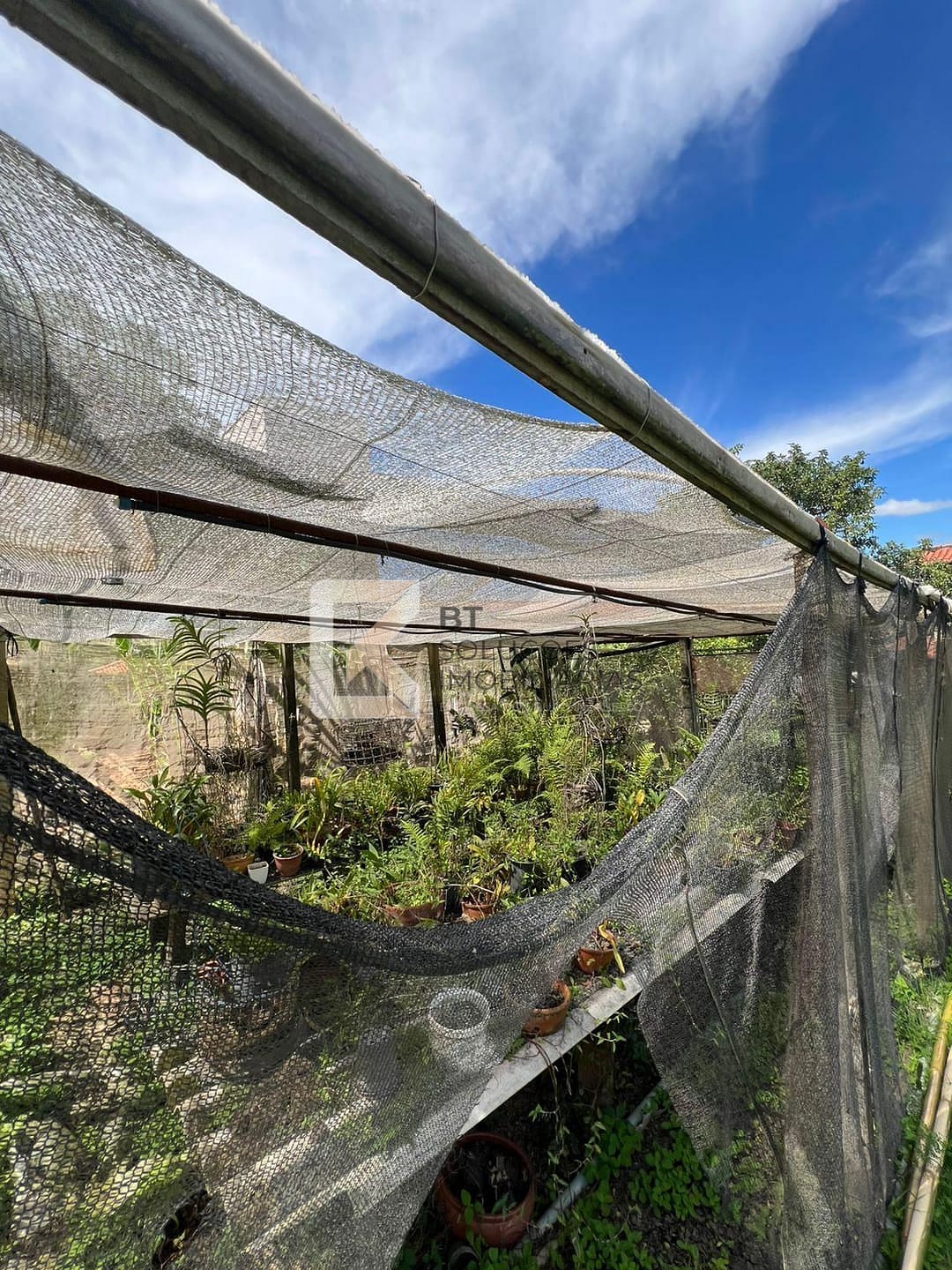 Chácara, 3 quartos, 2500 m² - Foto 55