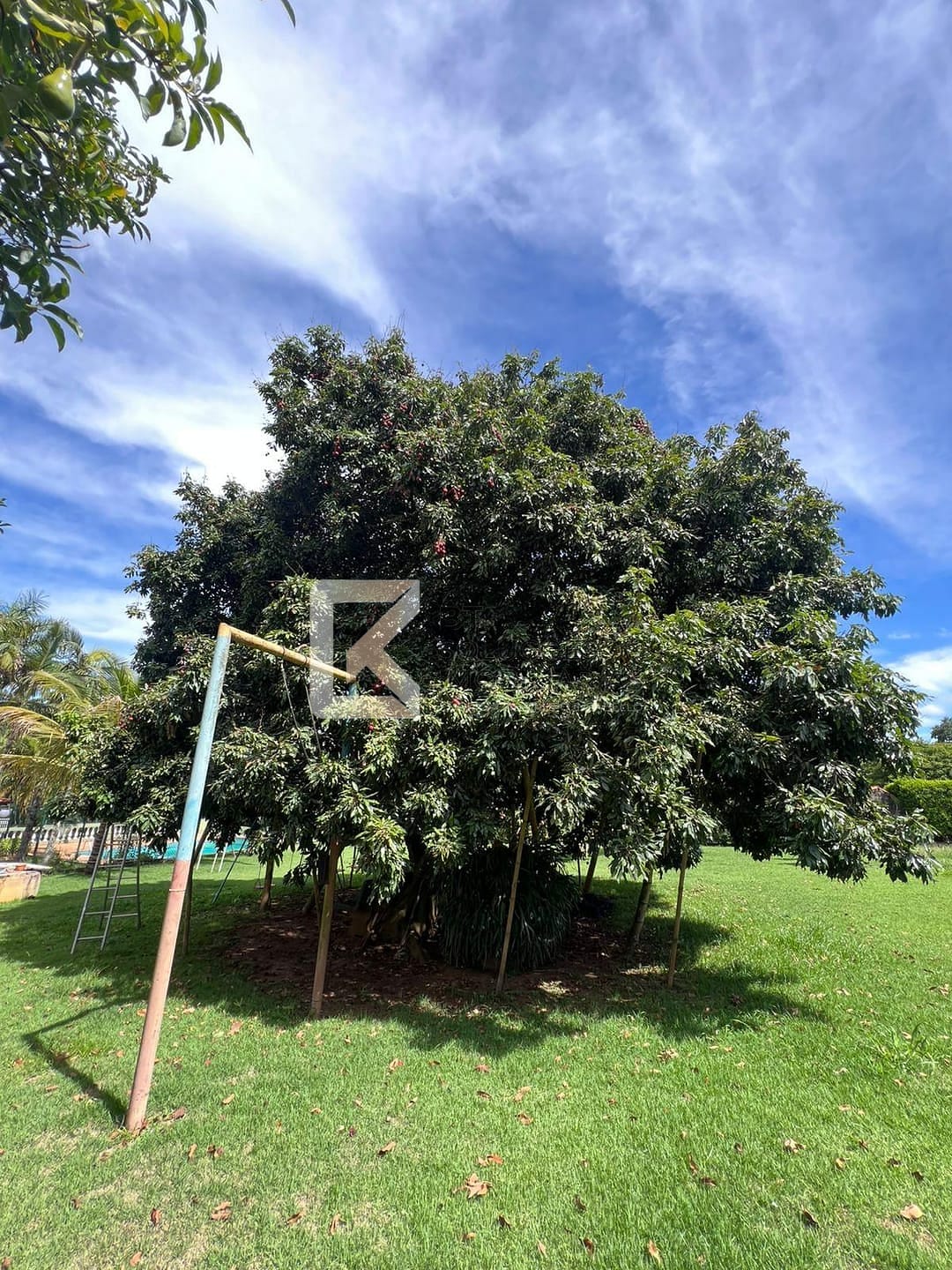 Chácara, 3 quartos, 2500 m² - Foto 52