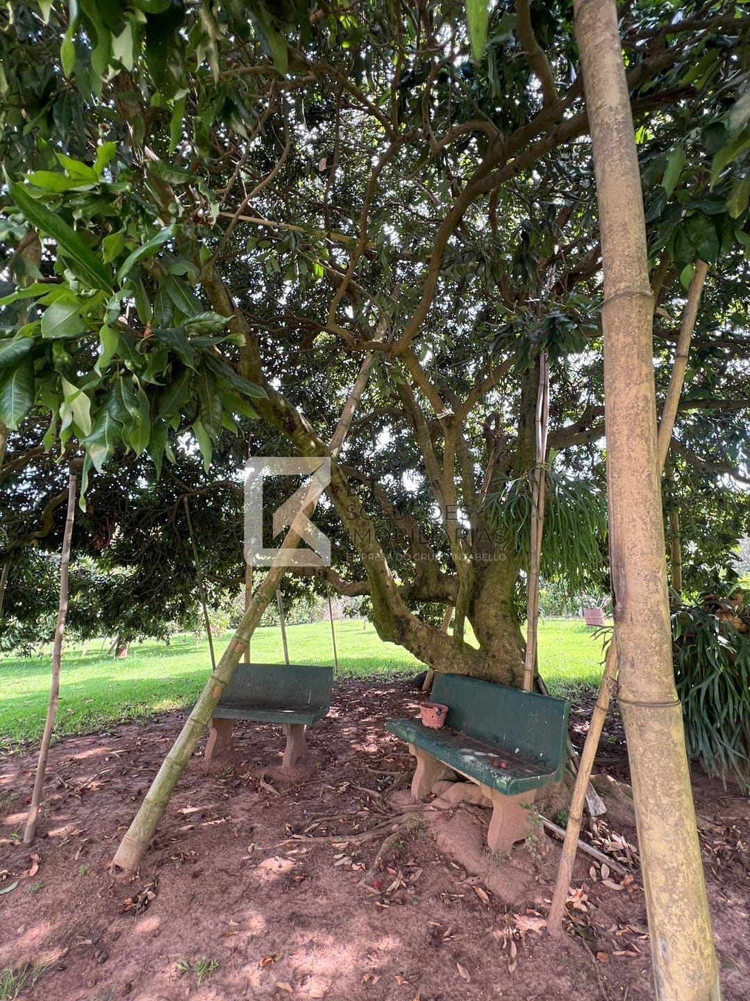 Chácara, 3 quartos, 2500 m² - Foto 49