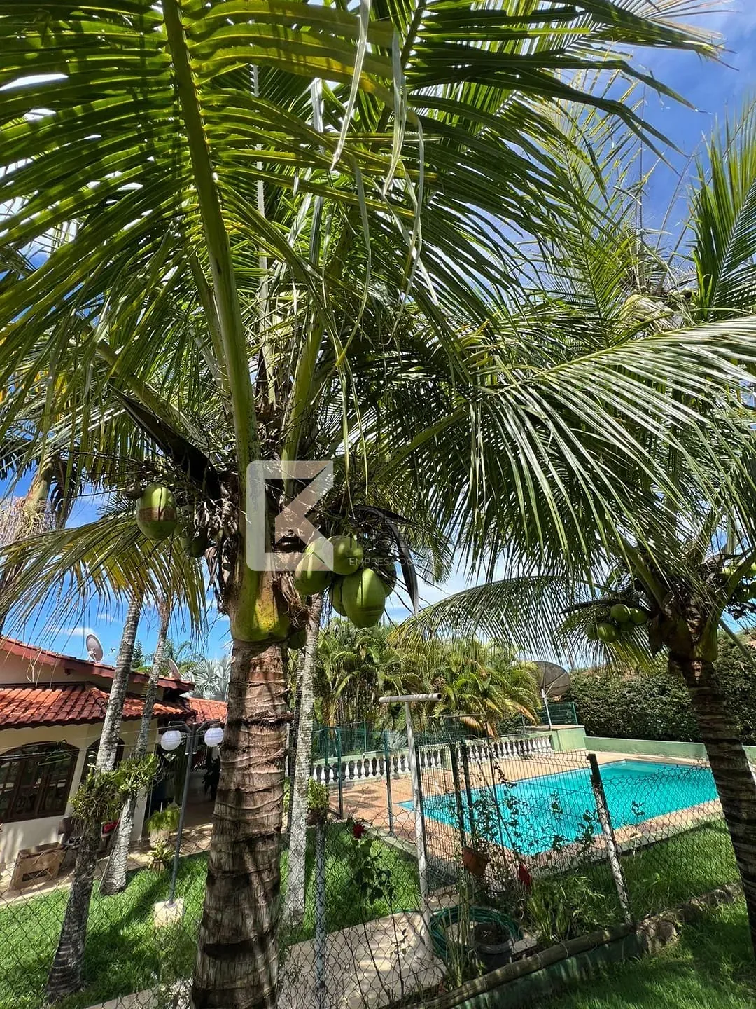 Chácara, 3 quartos, 2500 m² - Foto 45
