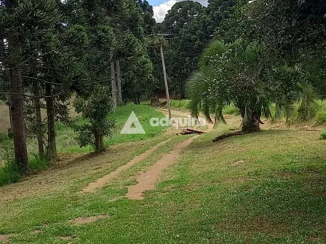 Chácara com 275000m² 3 quartos e 1 banheiro, à venda, no bairro Catanduva em Carambeí