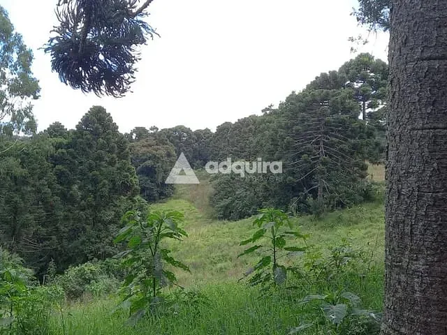 Chácara com 275000m² 3 quartos e 1 banheiro, à venda, no bairro Catanduva em Carambeí