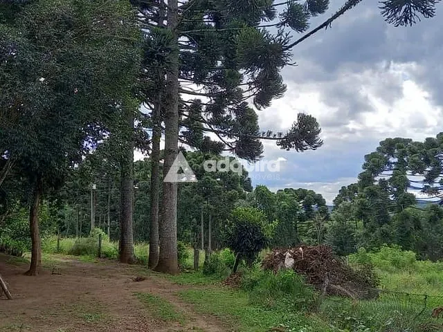 Chácara com 275000m² 3 quartos e 1 banheiro, à venda, no bairro Catanduva em Carambeí