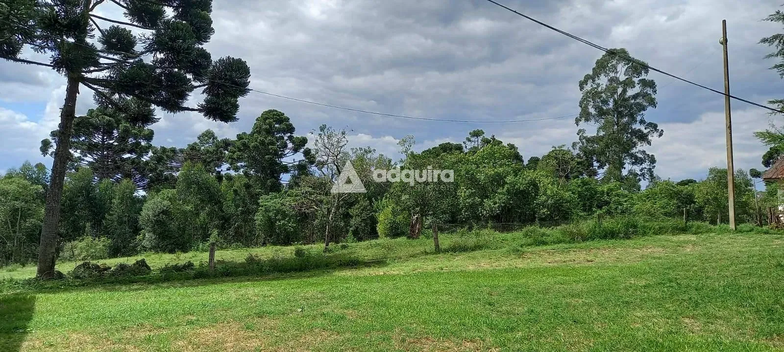 Sítio, 3 quartos, 28 hectares - Foto 6