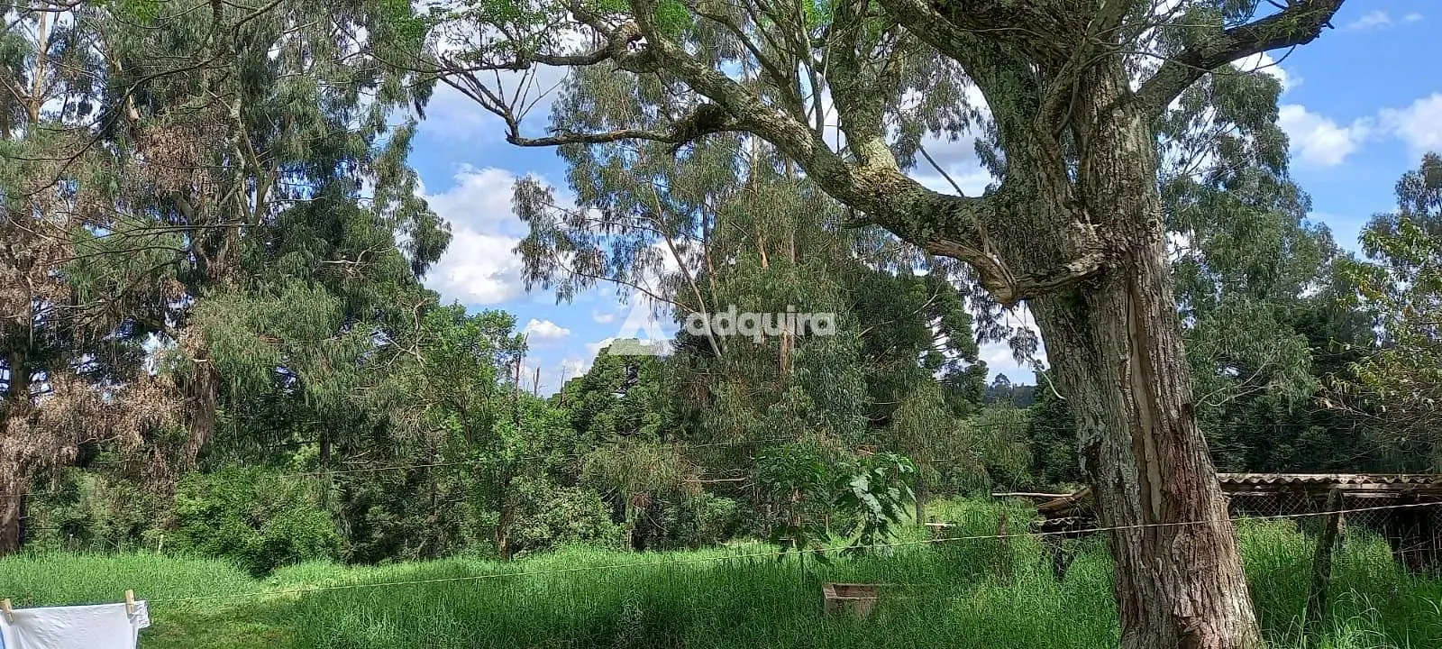Sítio, 3 quartos, 28 hectares - Foto 7