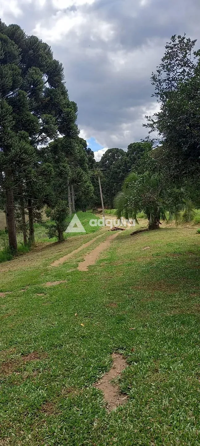 Sítio, 3 quartos, 28 hectares - Foto 4