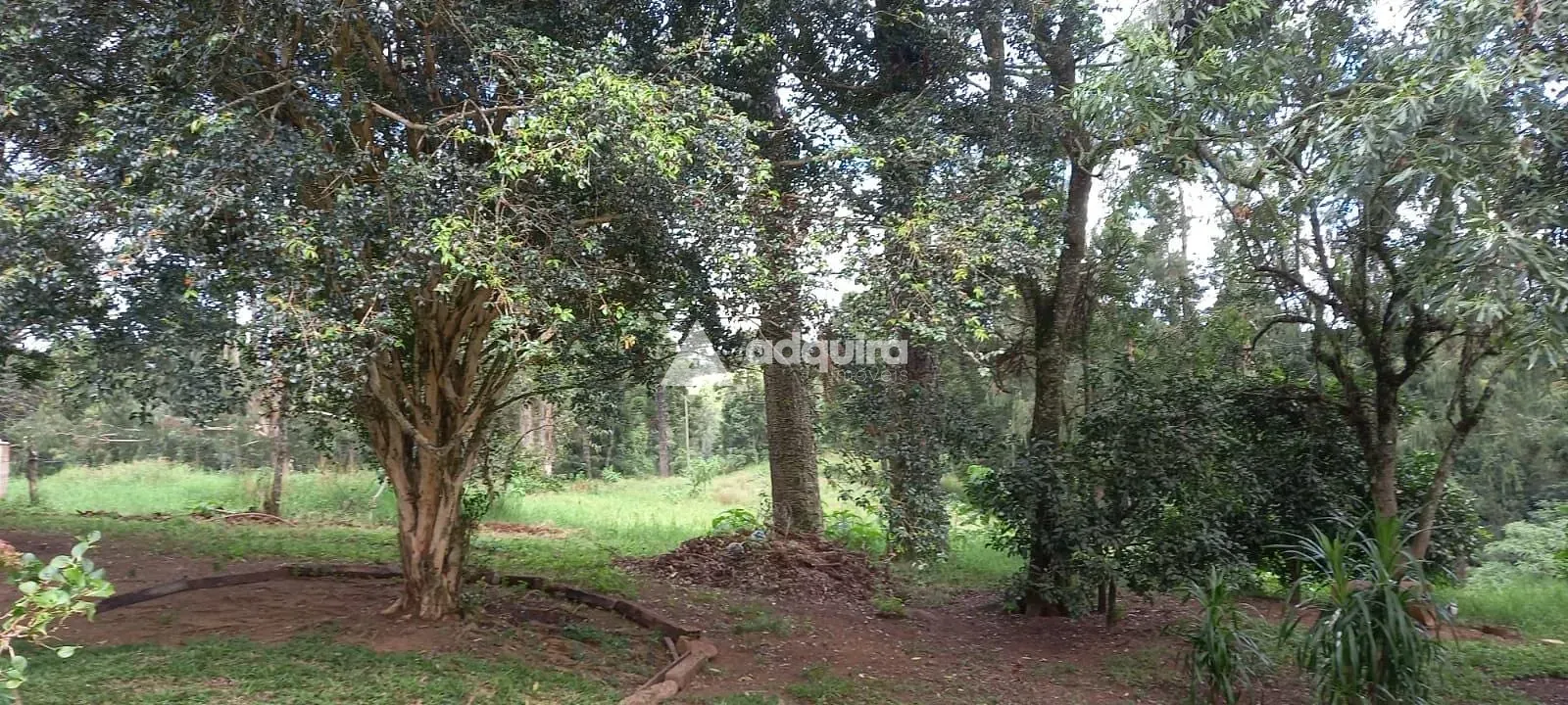 Sítio, 3 quartos, 28 hectares - Foto 2