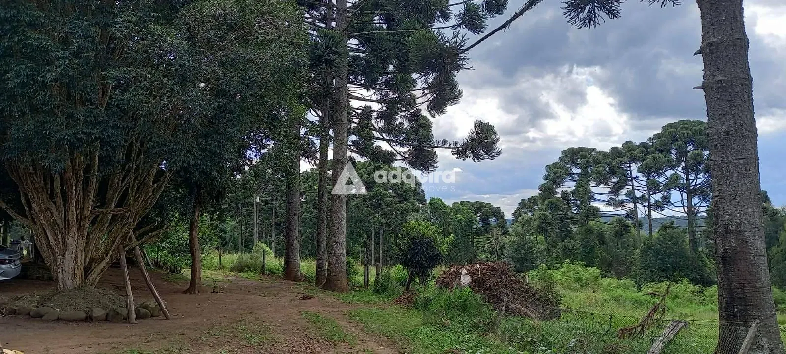 Sítio, 3 quartos, 28 hectares - Foto 1
