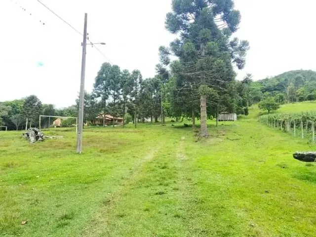 Sítio 3 quartos e 2 banheiros, à venda, no bairro Bacaetava em Colombo
