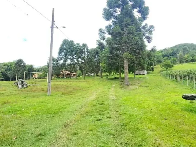 Sítio 3 quartos e 2 banheiros, à venda, no bairro Bacaetava em Colombo