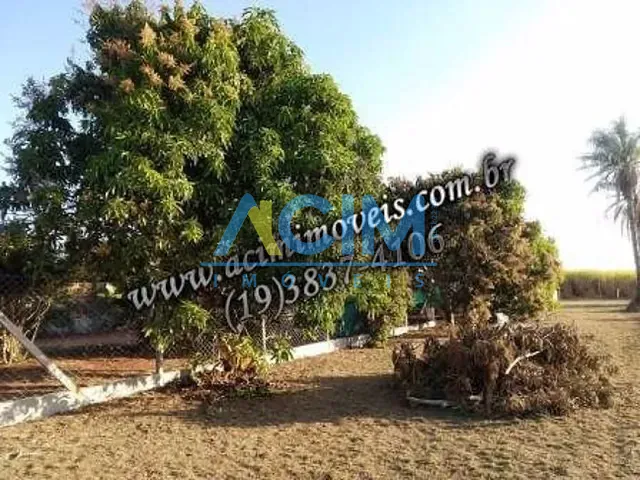 Chácara com 1120m², à venda, no bairro Pedra Grande em Holambra