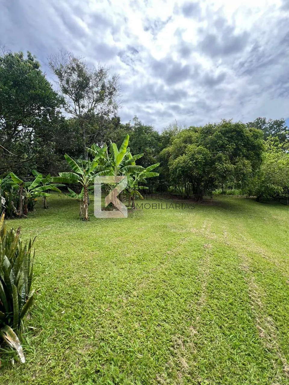 Chácara, 5 quartos, 5400 m² - Foto 8