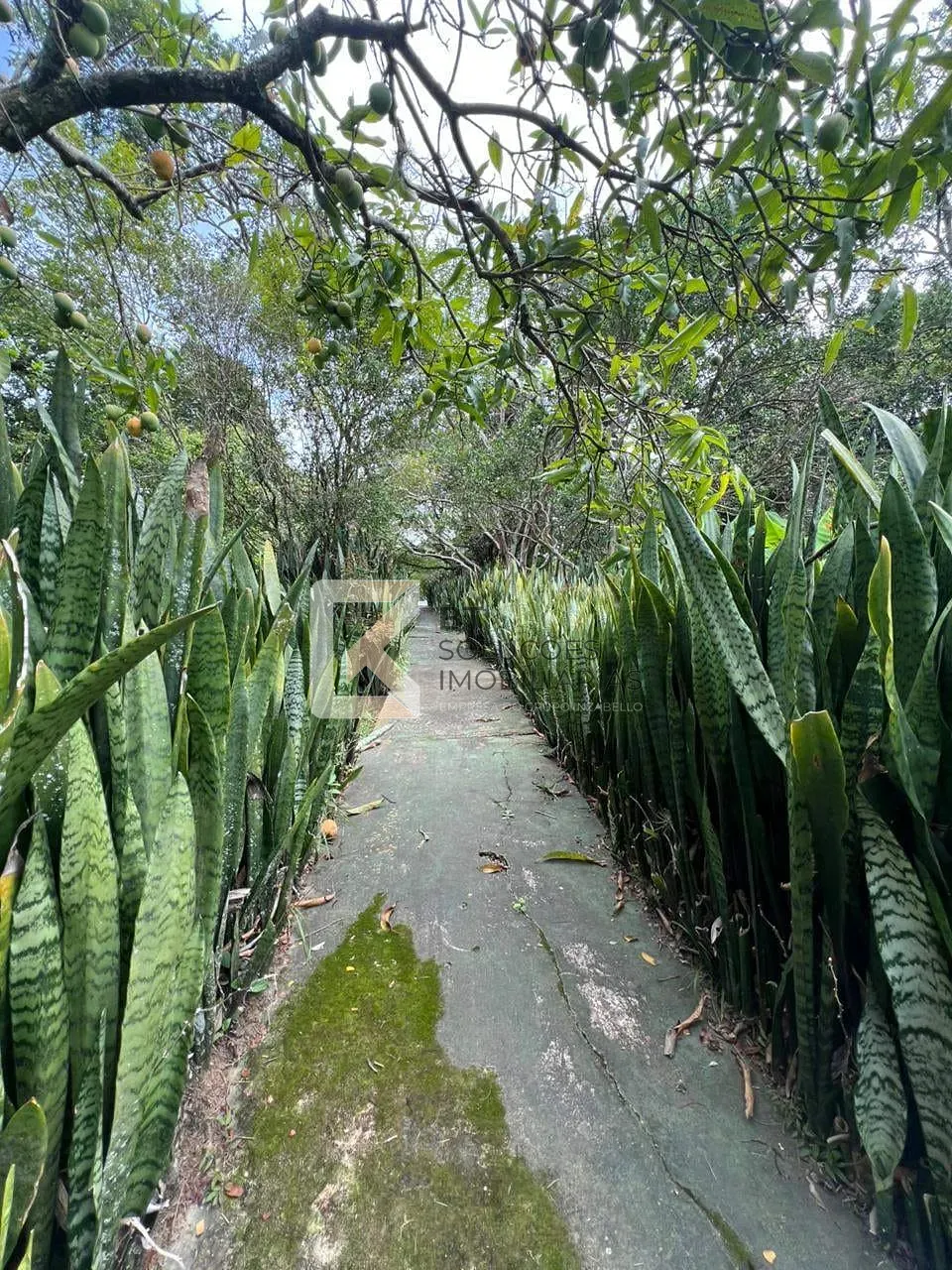 Chácara, 5 quartos, 5400 m² - Foto 10