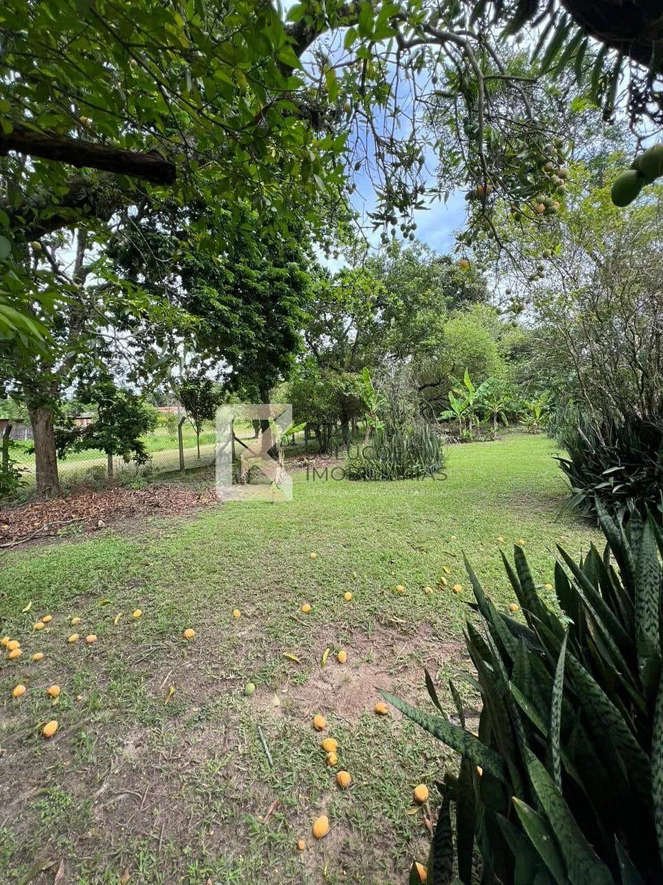 Chácara, 5 quartos, 5400 m² - Foto 9