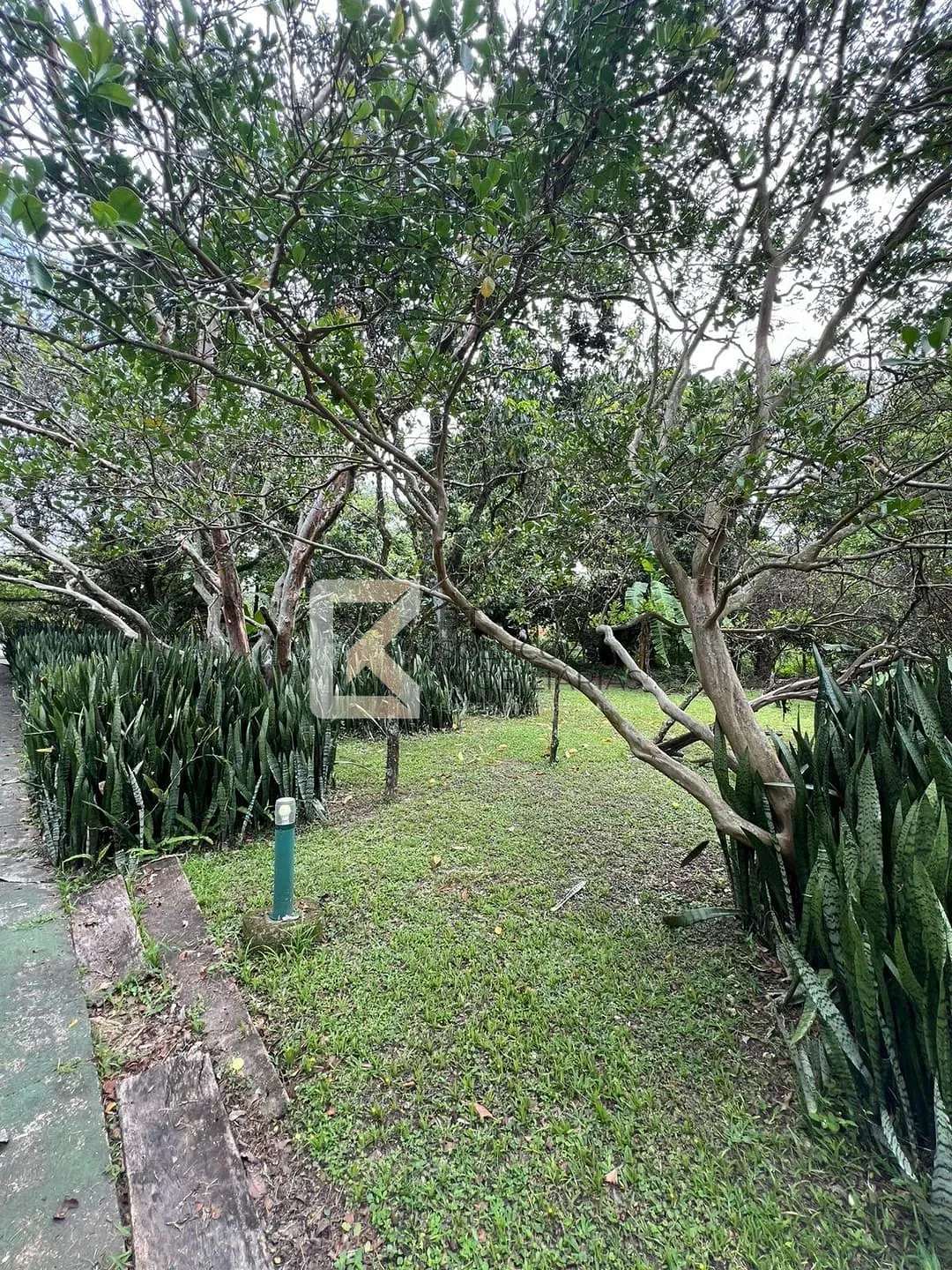 Chácara, 5 quartos, 5400 m² - Foto 13