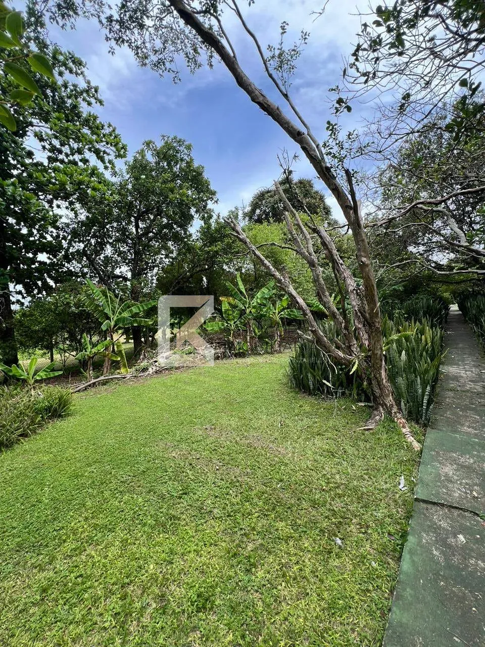 Chácara, 5 quartos, 5400 m² - Foto 12