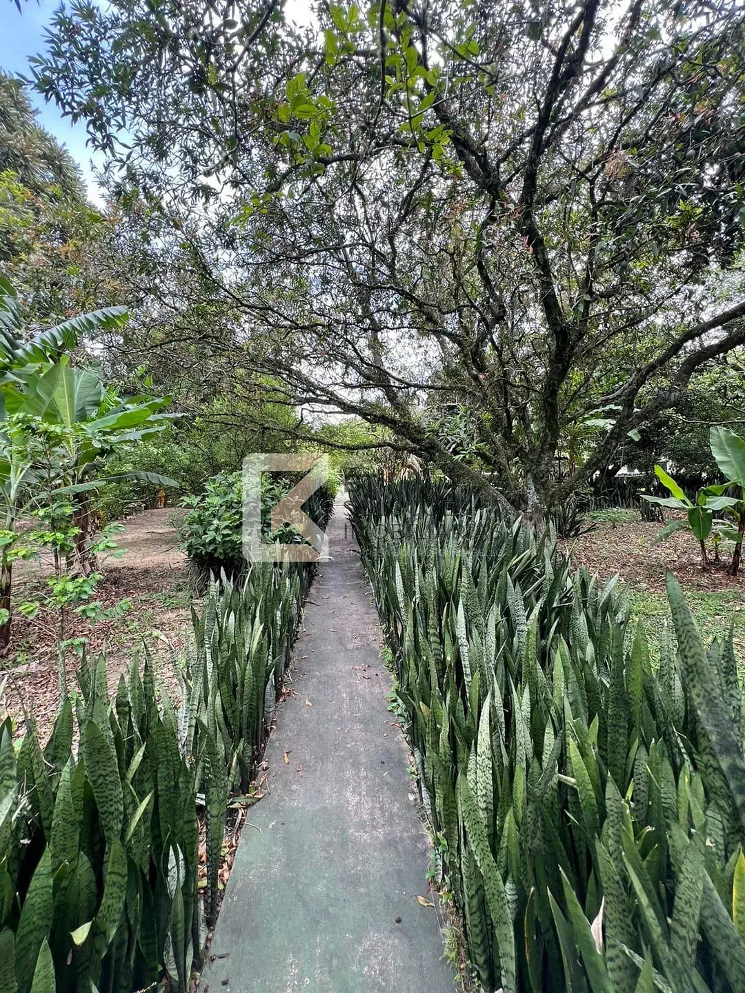 Chácara, 5 quartos, 5400 m² - Foto 15
