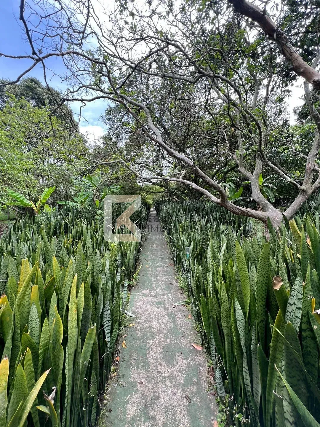 Chácara, 5 quartos, 5400 m² - Foto 14