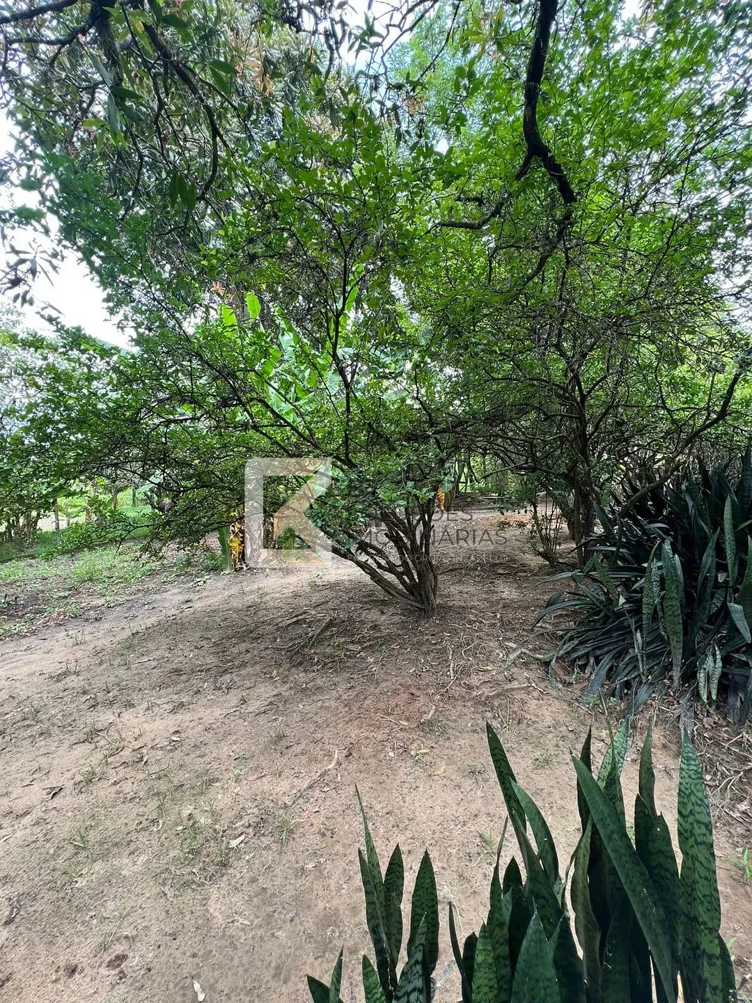 Chácara, 5 quartos, 5400 m² - Foto 18