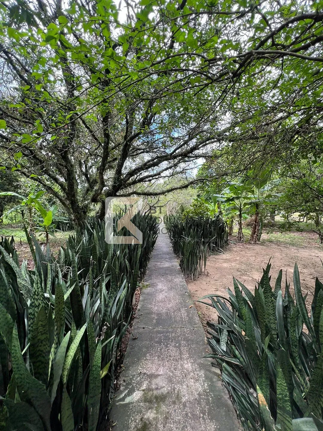 Chácara, 5 quartos, 5400 m² - Foto 19