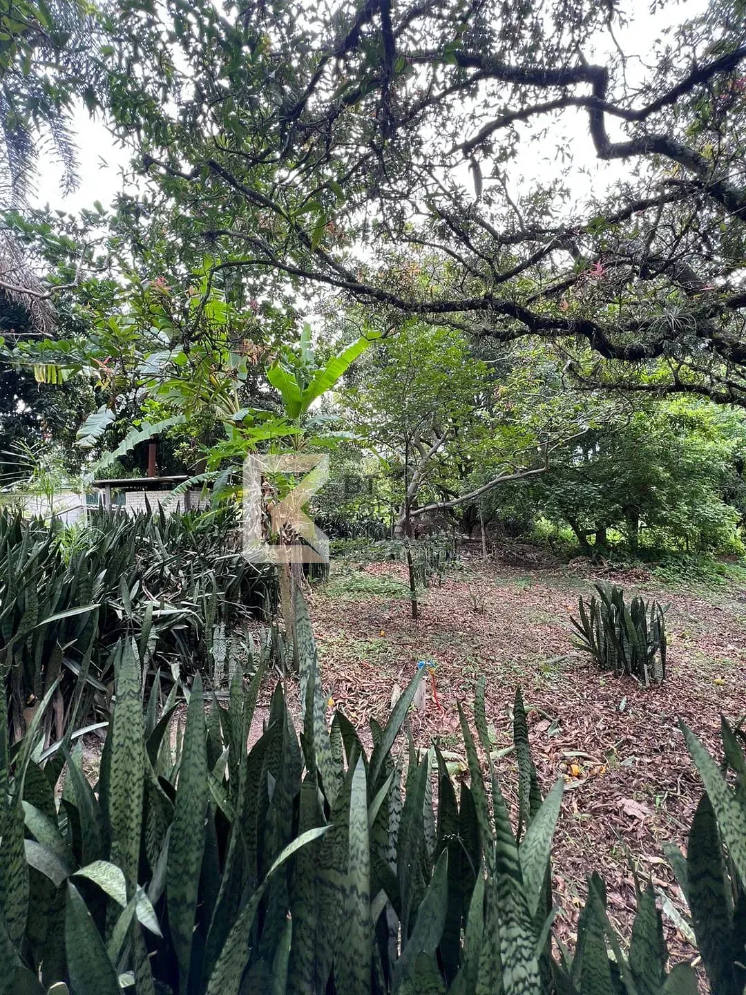 Chácara, 5 quartos, 5400 m² - Foto 11