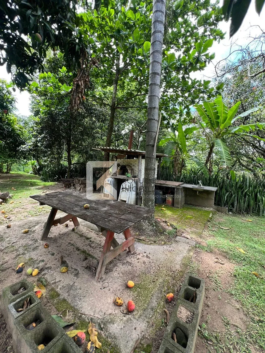 Chácara, 5 quartos, 5400 m² - Foto 20