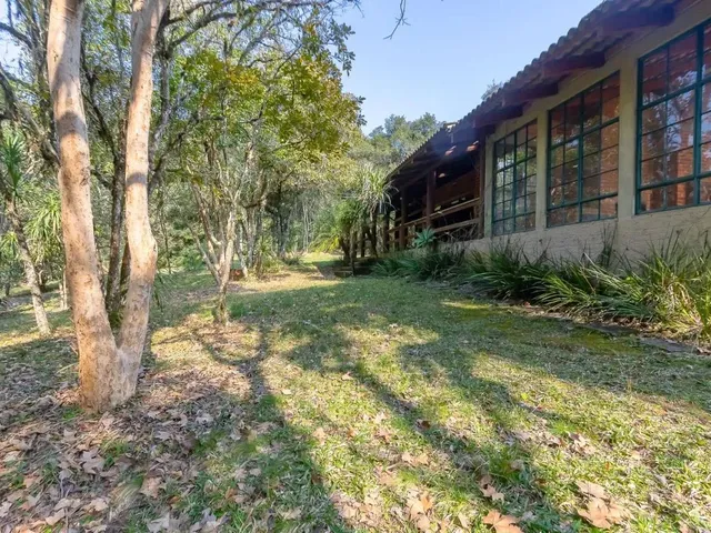 Sítio com 62550m² 4 quartos e 4 banheiros, à venda, no bairro Rondinha em Campo Largo