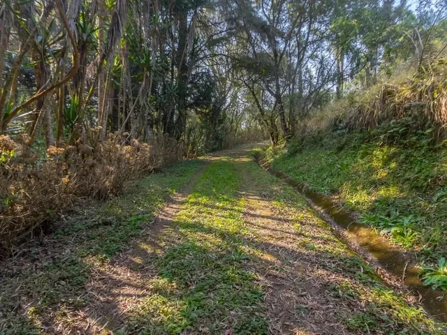Sítio com 62550m² 4 quartos e 4 banheiros, à venda, no bairro Rondinha em Campo Largo