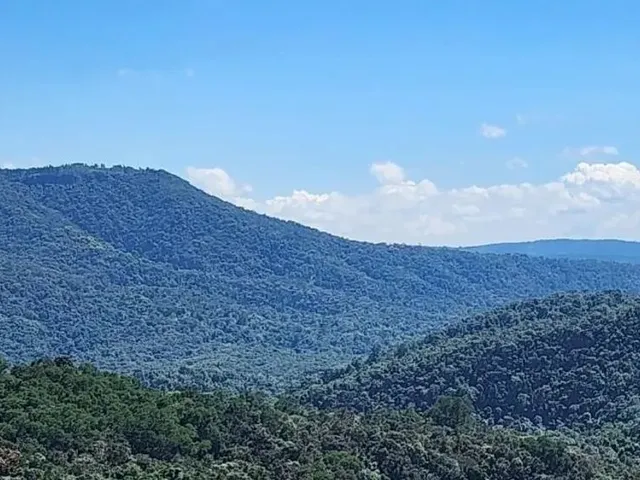 Sítio à venda, no bairro Área Rural de Campo Largo em Campo Largo
