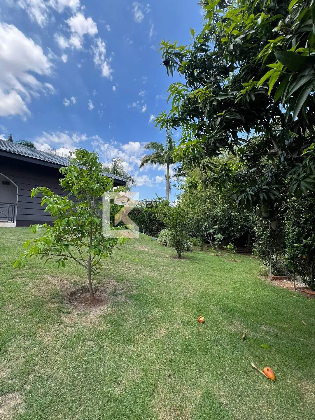 Chácara, 4 quartos, 2000 m² - Foto 12