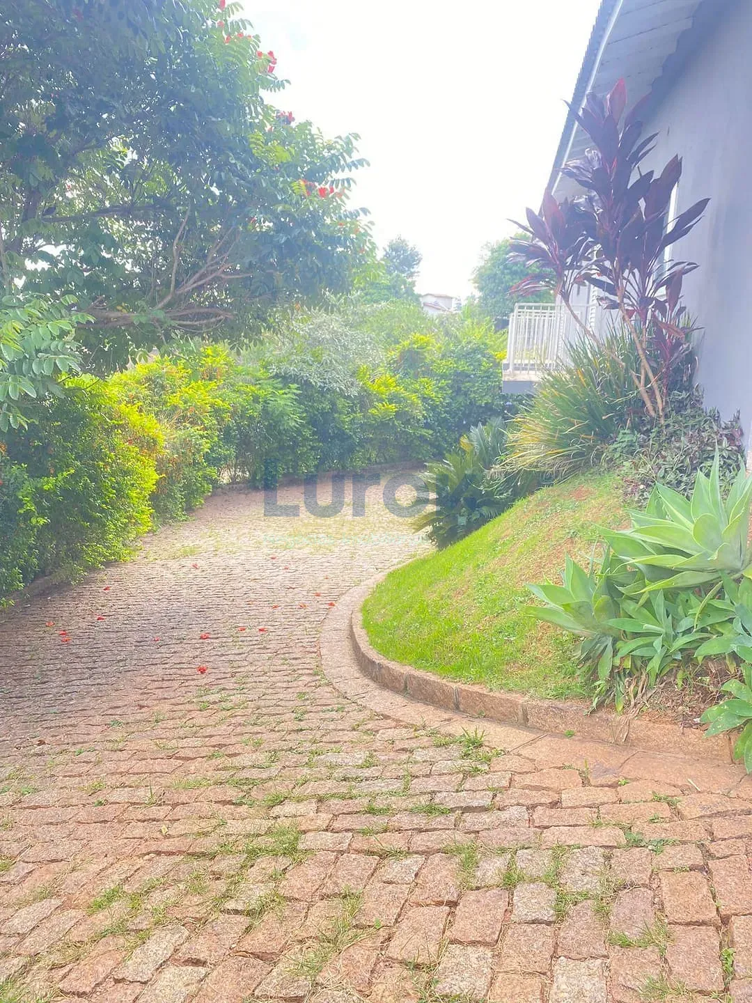 Chácara, 4 quartos, 4000 m² - Foto 39