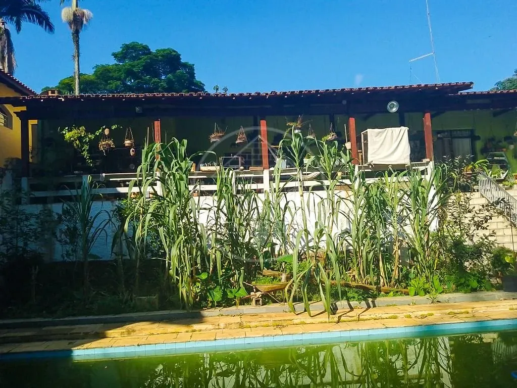 Sítio, 5 quartos, 1500 m² - Foto 2