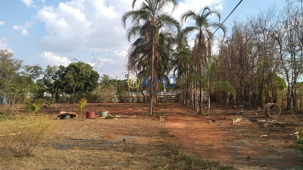 Sítio, 3 quartos, 3111 m² - Foto 8