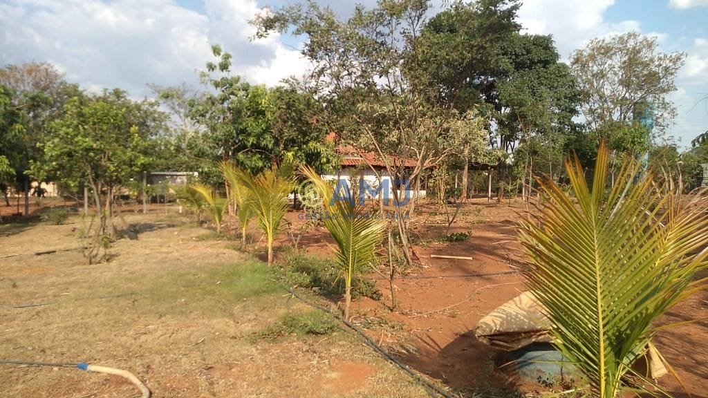 Sítio, 3 quartos, 3111 m² - Foto 12