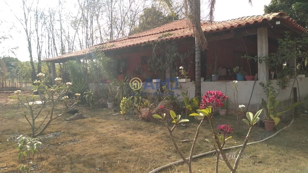 Sítio, 3 quartos, 3111 m² - Foto 4