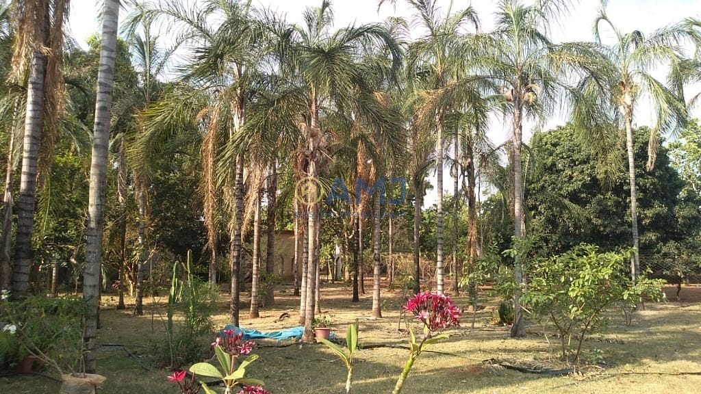 Sítio, 3 quartos, 3111 m² - Foto 1