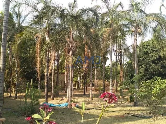 Chácara com 3111m² 3 quartos e 3 banheiros, à venda, no bairro Zona Rural em Hidrolândia