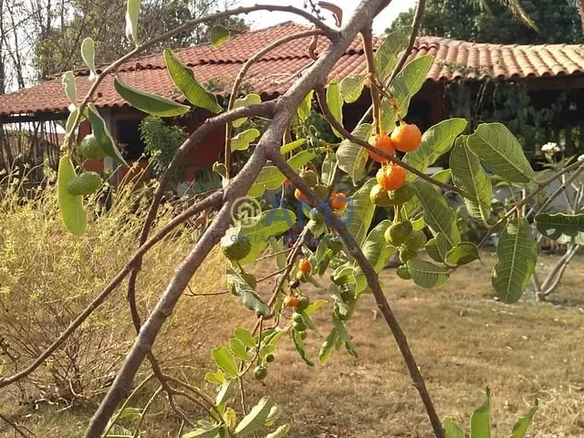 Chácara com 3111m² 3 quartos e 3 banheiros, à venda, no bairro Zona Rural em Hidrolândia