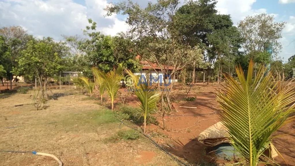 Sítio, 3 quartos, 3111 m² - Foto 12