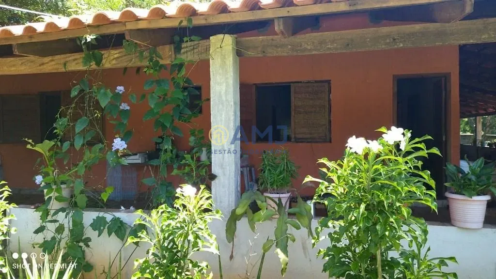 Sítio, 3 quartos, 3111 m² - Foto 2