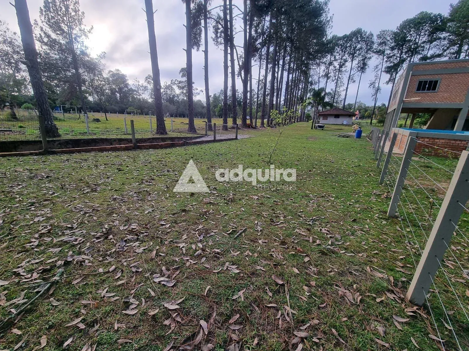 Chácara, 2 quartos, 2000 m² - Foto 5