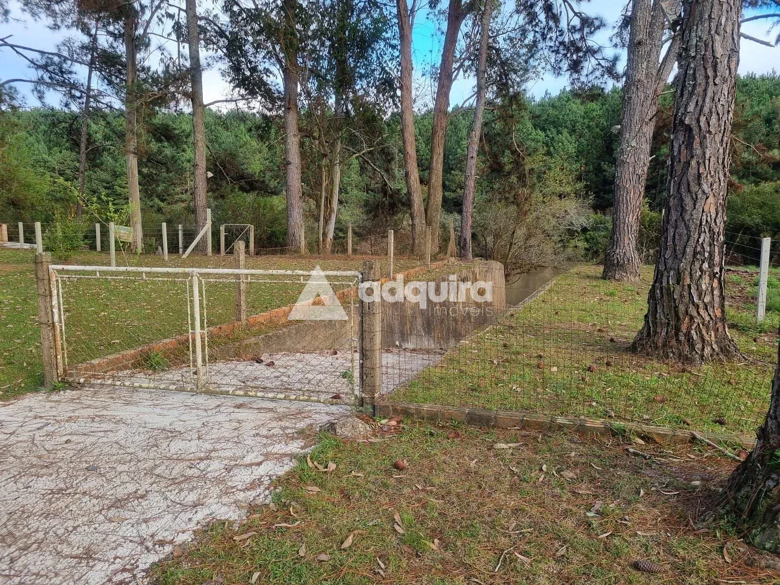 Chácara, 2 quartos, 2000 m² - Foto 17