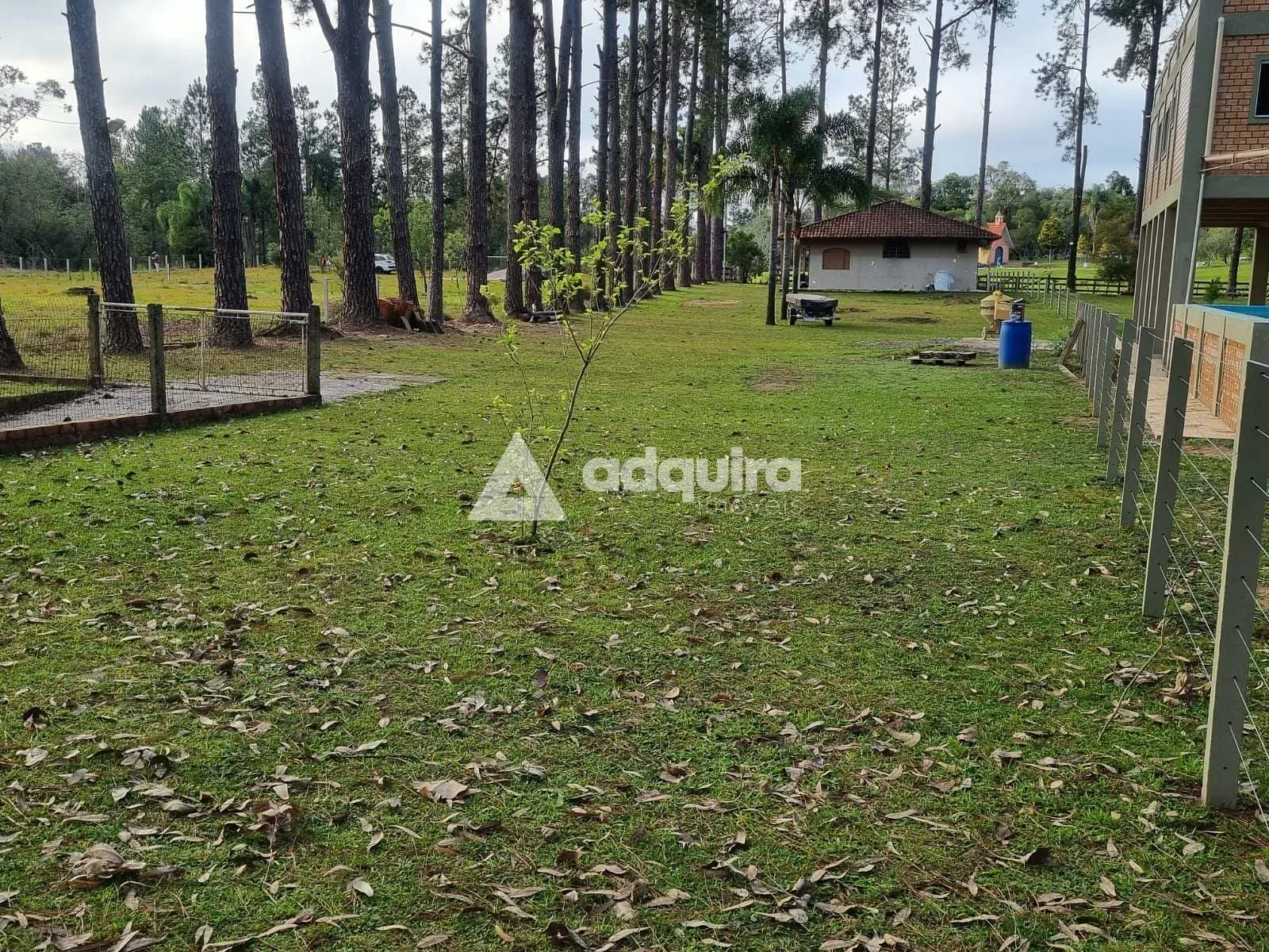 Chácara, 2 quartos, 2000 m² - Foto 20