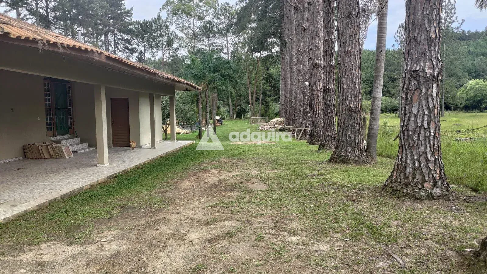 Chácara, 2 quartos, 2000 m² - Foto 26